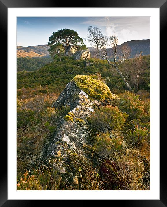 Glen Affric detail Framed Mounted Print by Gary Eason