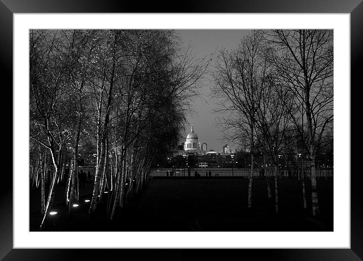 St Paul's with silver birches Framed Mounted Print by Gary Eason