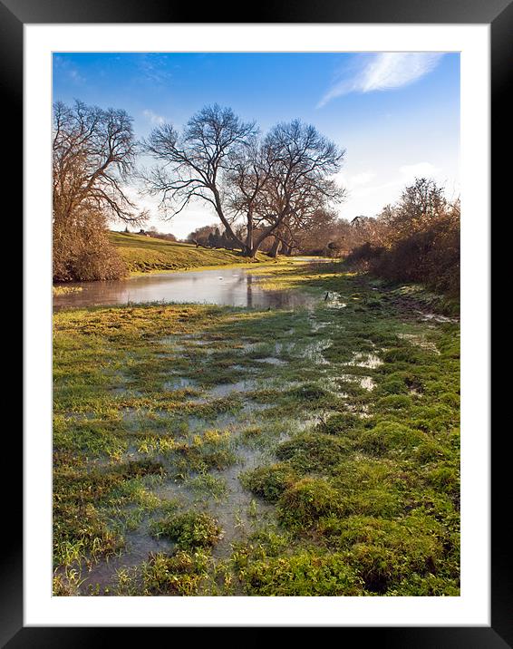 Flooded watermeadow Framed Mounted Print by Gary Eason
