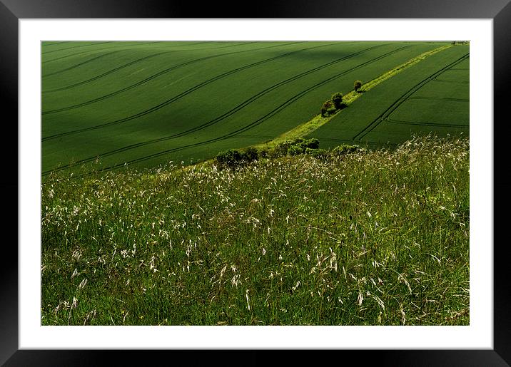Green and pleasant land Framed Mounted Print by Gary Eason