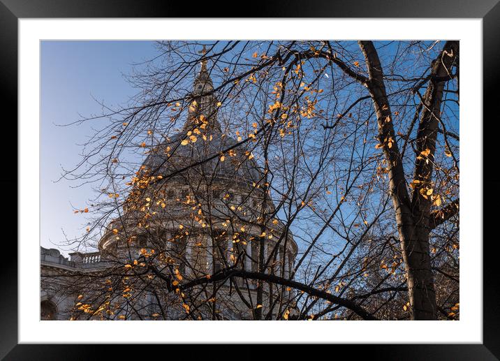 Autumn leaves at St Paul's Cathedral London Framed Mounted Print by Gary Eason