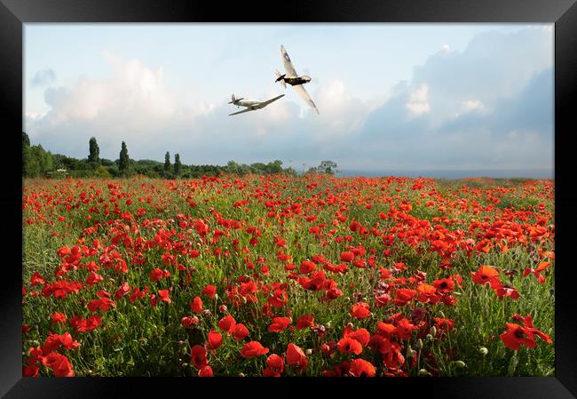 Hurricane and Spitfire over poppy field Framed Print by Gary Eason