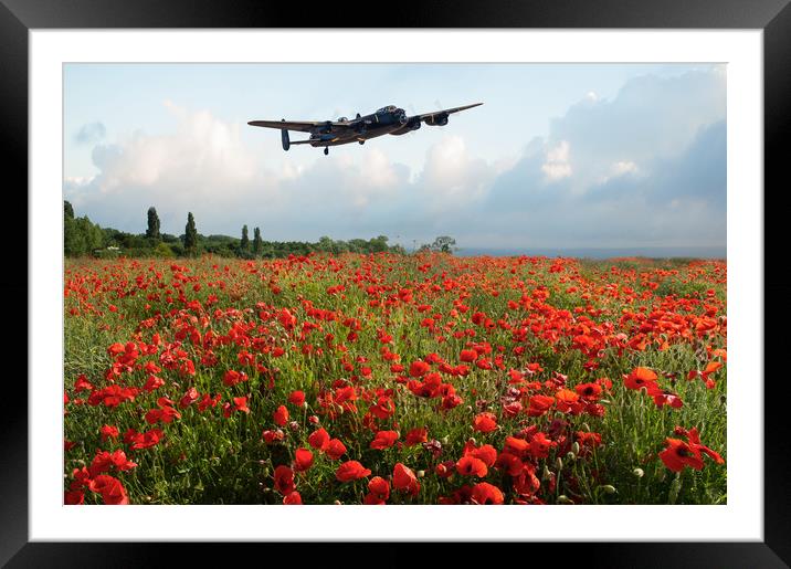 Poppies and Avro Lancaster  Framed Mounted Print by Gary Eason