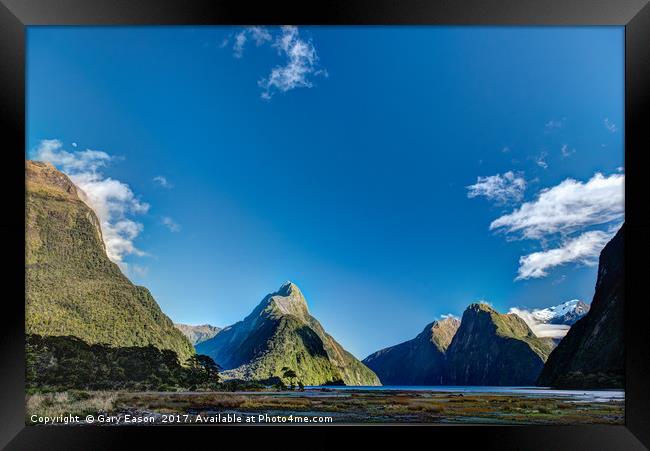 Autumn morning Milford Sound Framed Print by Gary Eason