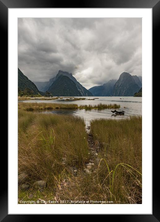 Low cloud in Milford Sound Framed Mounted Print by Gary Eason