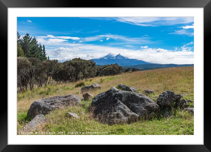 Mount Ruapehu view Framed Mounted Print by Gary Eason
