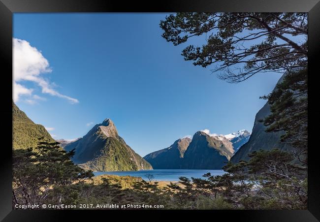 Milford Sound overlook Framed Print by Gary Eason