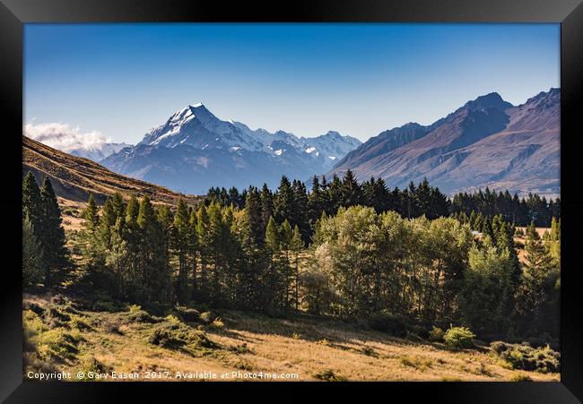 Mount Cook Aoraki view with trees Framed Print by Gary Eason