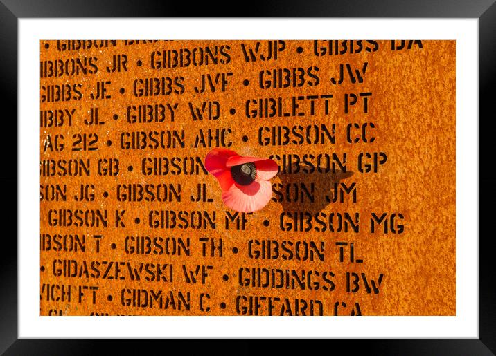 IBCC wall of names and poppy Framed Mounted Print by Gary Eason