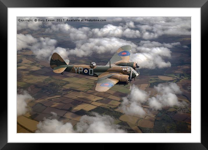 Bristol Blenheim in flight Framed Mounted Print by Gary Eason
