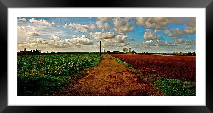 The Country Track Framed Mounted Print by Caroline Williams