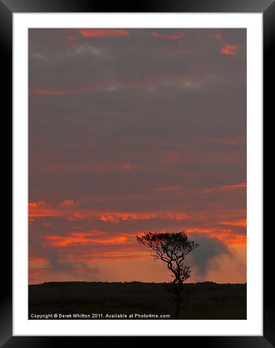 The Lone Tree Framed Mounted Print by Derek Whitton