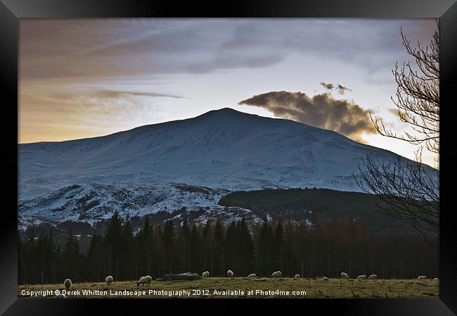 Winter on Schiehallion 2 Framed Print by Derek Whitton