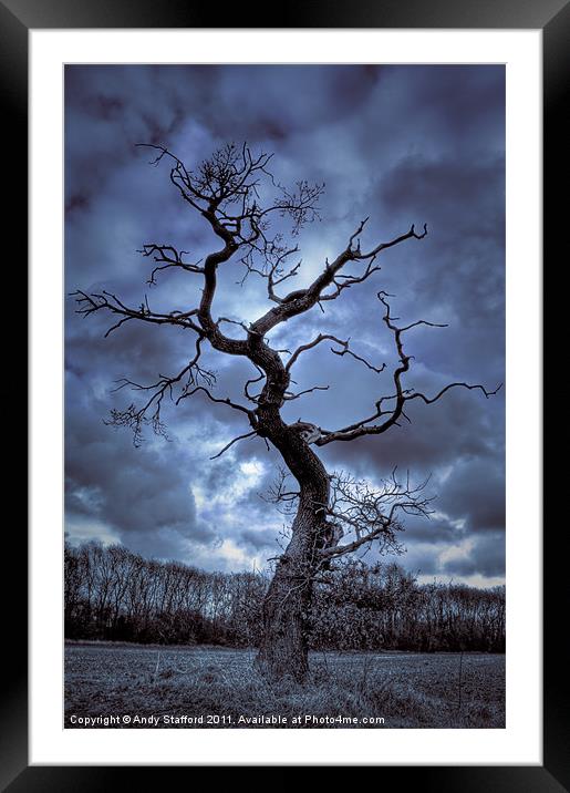 Winter Tree Framed Mounted Print by Andy Stafford