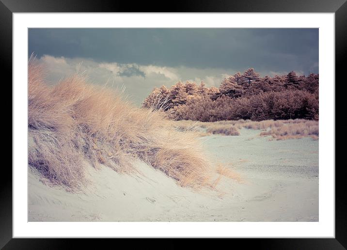  Sand Dunes and Pine Trees, Wells-next-the-Sea Framed Mounted Print by Andy Stafford