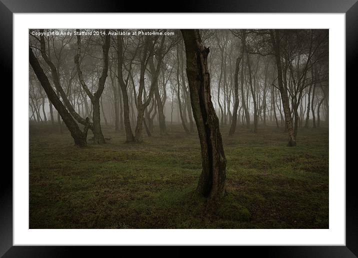  Birch trees in late afternoon mist, Stanton Moor Framed Mounted Print by Andy Stafford