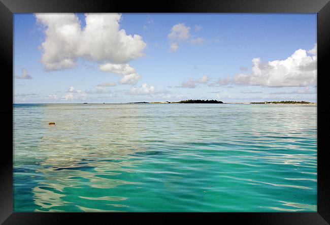 shallow water Framed Print by Hassan Najmy