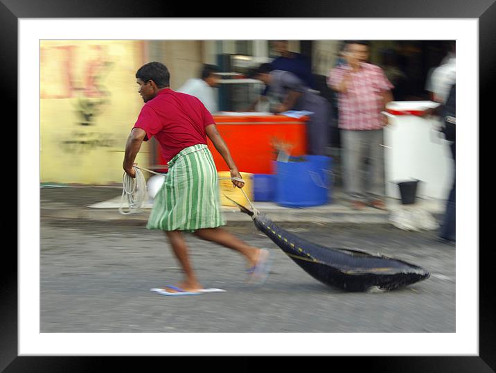 carrytuna Framed Mounted Print by Hassan Najmy