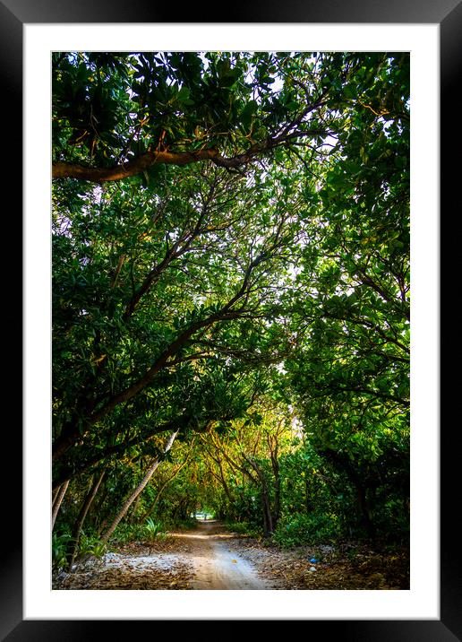 Road in the trees Framed Mounted Print by Hassan Najmy