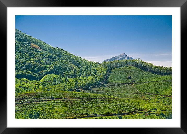 green field Framed Mounted Print by Hassan Najmy