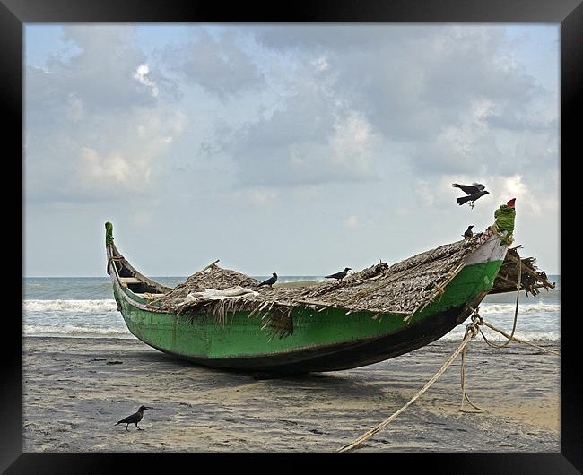 crows on boat Framed Print by Hassan Najmy