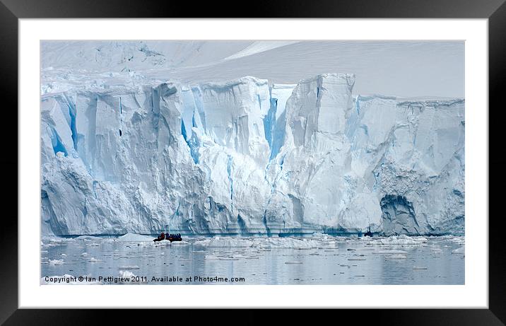 Antarctica Glacier breaks free Framed Mounted Print by Ian Pettigrew