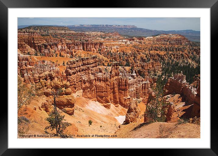 Bryce Canyon National Park, Utah, USA Framed Mounted Print by Nataliya Dubrovskaya