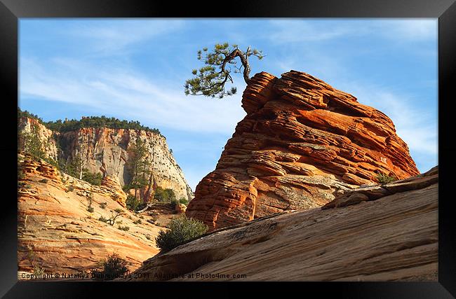 Rock and Tree. National park Zion. Utah Framed Print by Nataliya Dubrovskaya