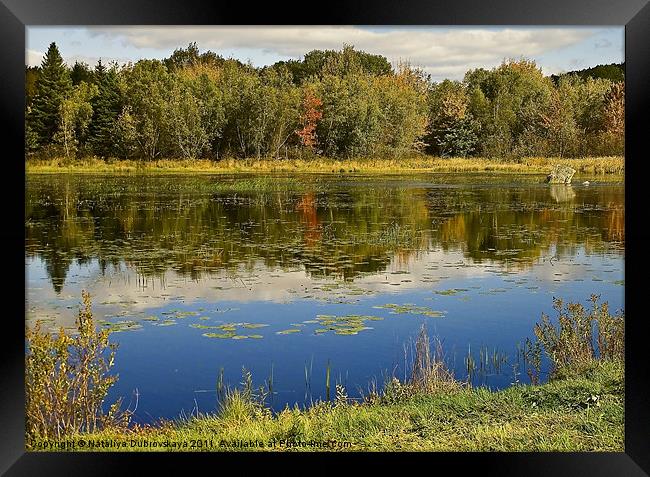 Autumn At Somes Pond, Maine, USA Framed Print by Nataliya Dubrovskaya