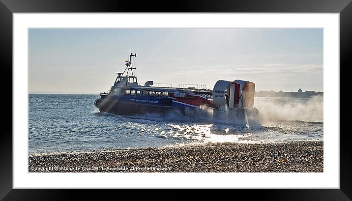 Hovercraft Holiday Framed Mounted Print by michelle rook