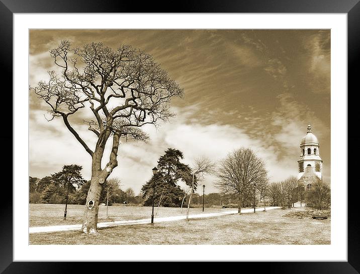 Gnarled tree and old chapel Framed Mounted Print by michelle rook
