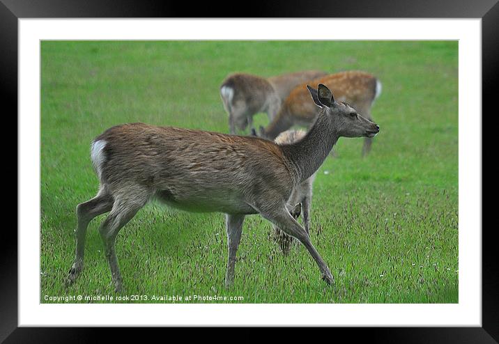 Running deer Framed Mounted Print by michelle rook