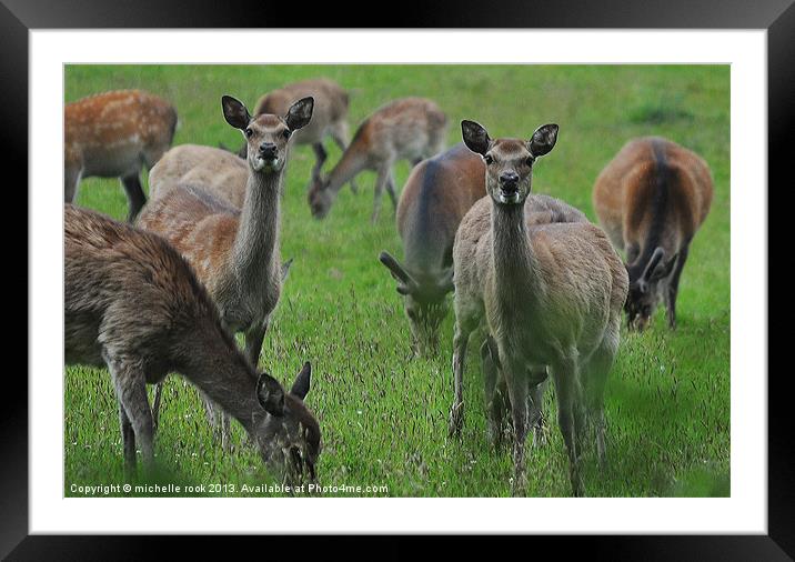 Are you looking at me? Framed Mounted Print by michelle rook