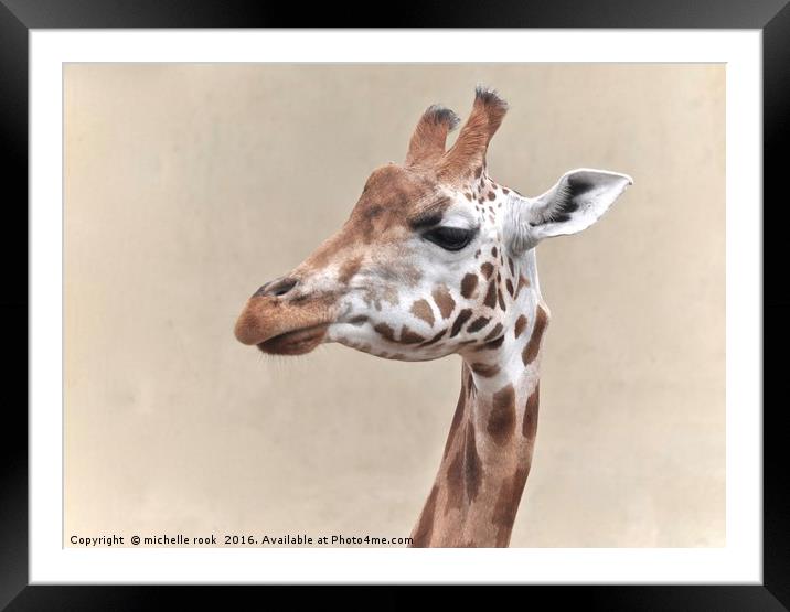 giraffe portrait Framed Mounted Print by michelle rook