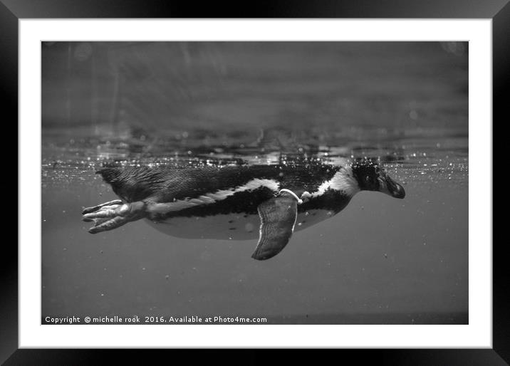 penguin underwater view Framed Mounted Print by michelle rook