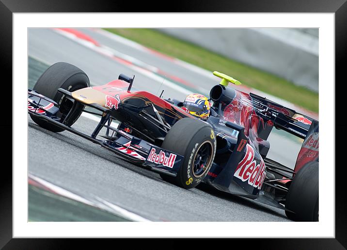 Jaime Alguersuari - Toro Rosso 2010 Framed Mounted Print by SEAN RAMSELL