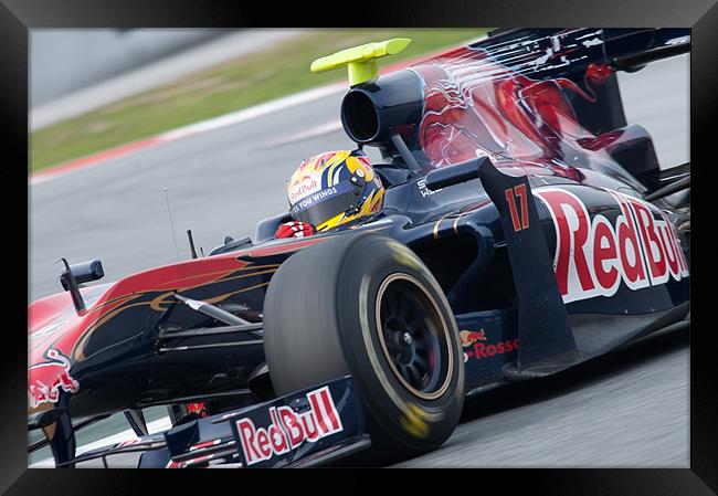 Jamie Alguersuari - Toro Rosso - 2010 Framed Print by SEAN RAMSELL