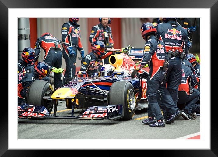 Sebastian Vettel released 2011 Framed Mounted Print by SEAN RAMSELL