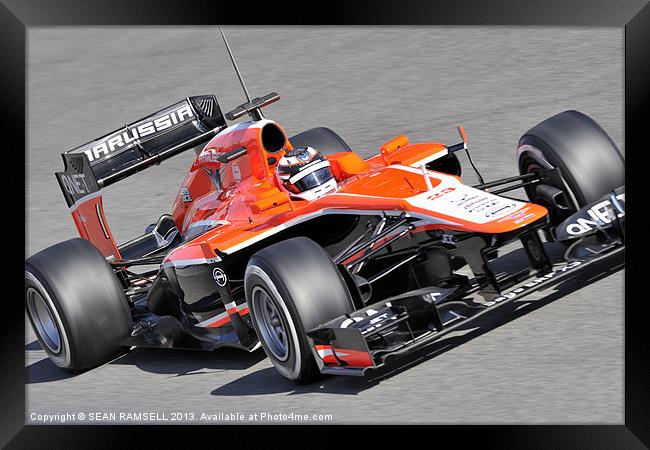 Max Chilton Marussia 2013 F1 Team Framed Print by SEAN RAMSELL