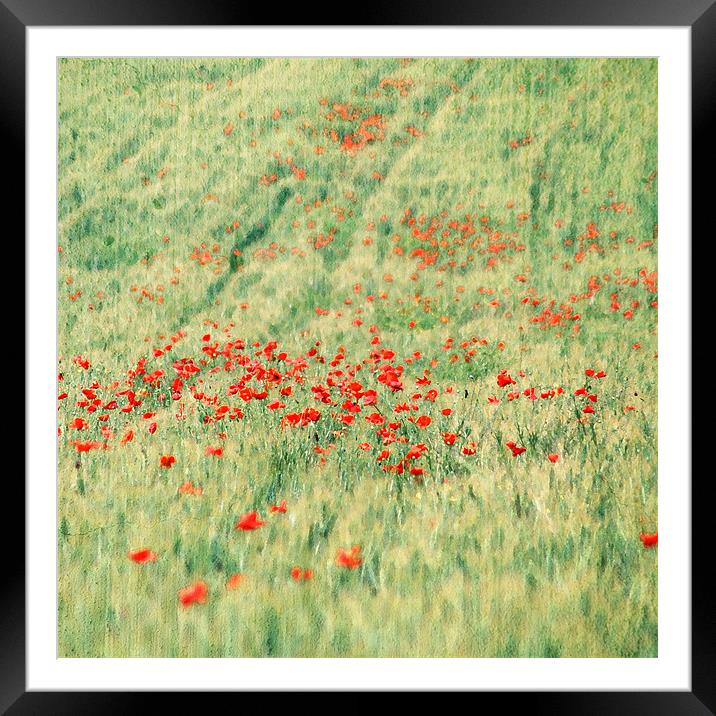 Red poppies field Framed Mounted Print by Gabriele Rossetti