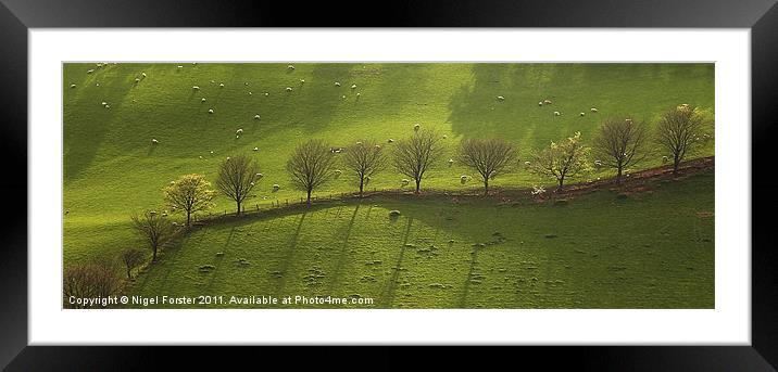 Epynt Trees Framed Mounted Print by Creative Photography Wales