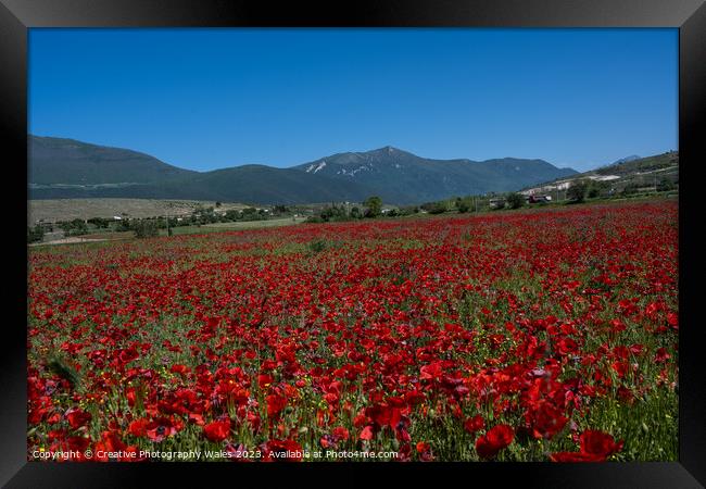 Capestrano Poppies, The Abruzzo, Italy Framed Print by Creative Photography Wales