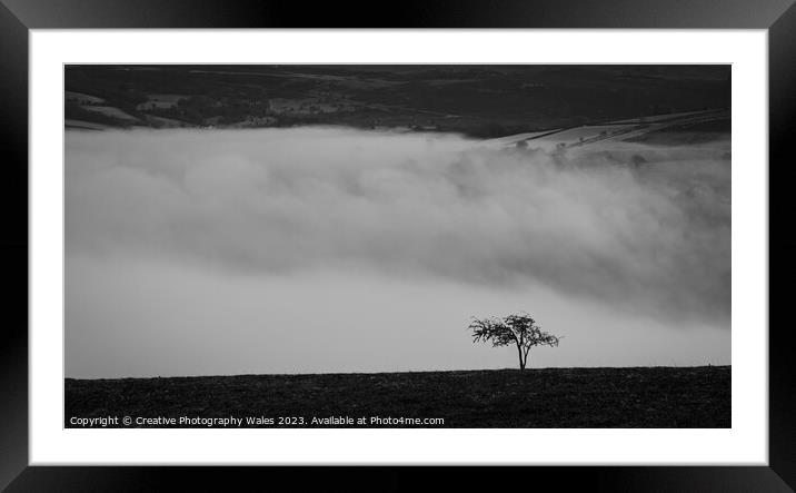 Tree above the clouds Framed Mounted Print by Creative Photography Wales