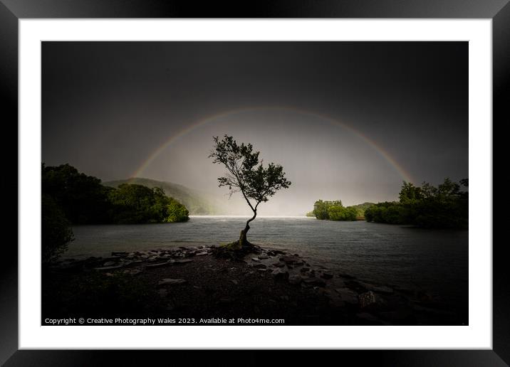 The Lone Tree, Llyn Padarn Framed Mounted Print by Creative Photography Wales