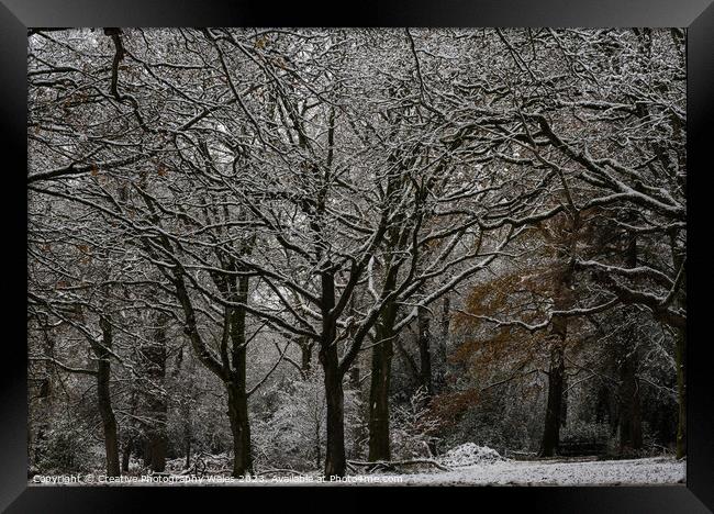 Forest of Dean Winter Landscape Framed Print by Creative Photography Wales