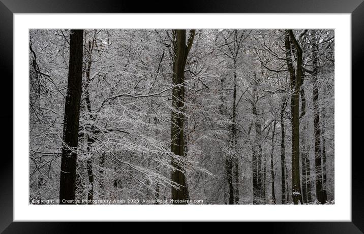 Forest of Dean Winter Landscape Framed Mounted Print by Creative Photography Wales