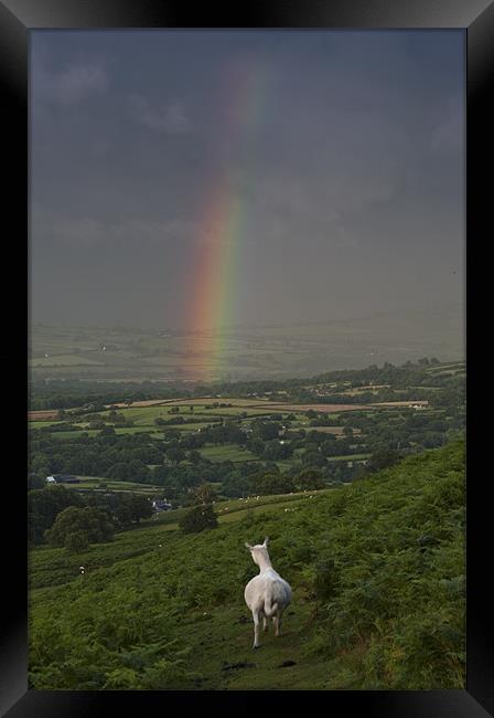 Watching the rainbow Framed Print by Creative Photography Wales