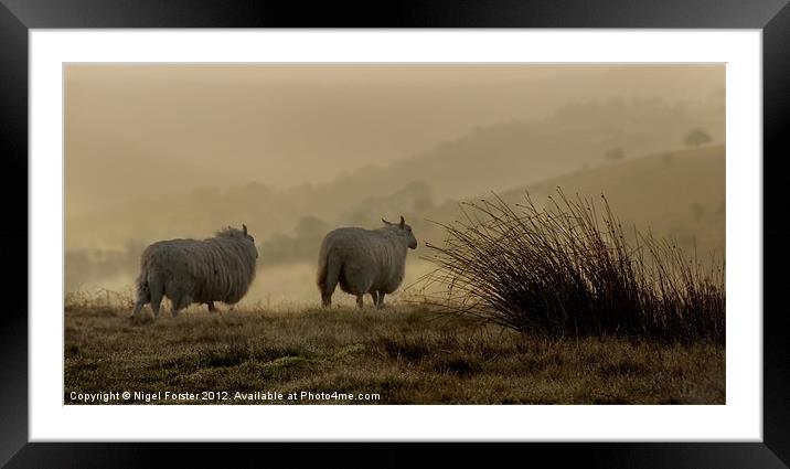Beacons sheep Framed Mounted Print by Creative Photography Wales