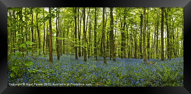Lanbedr Bluebell wood Framed Print by Creative Photography Wales