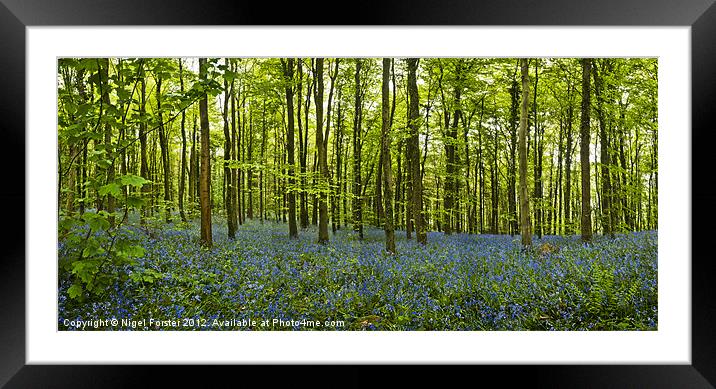 Lanbedr Bluebell wood Framed Mounted Print by Creative Photography Wales